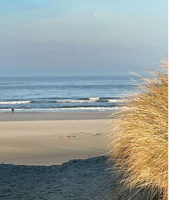 Unclassified image, 1 of 21, button