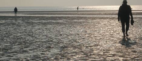 بالقرب من الشاطئ