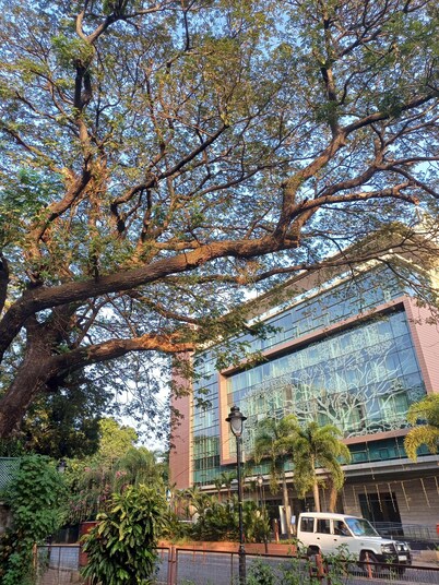 Kinara 3 BHK Apartment Miramar 