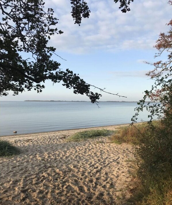 Plage à proximité