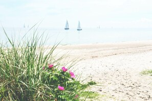 Beach nearby - Cathedral day "Key West" (Kronsgaard)