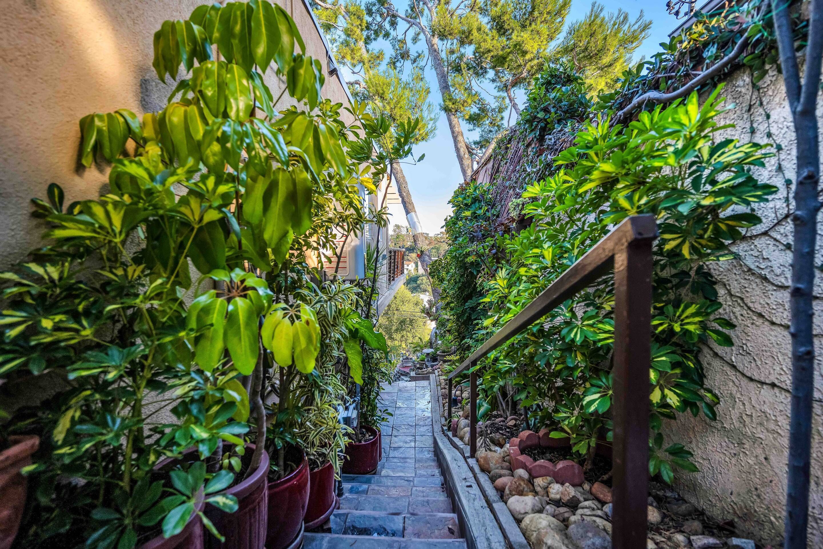 A narrow stone staircase flanked by lush green plants and a wooden railing.