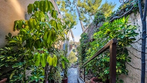 A narrow stone staircase flanked by lush green plants and a wooden railing.