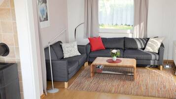 Smart-TV, Kamin, DVD-Player, Bücher