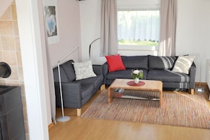 Tv, eldstad, dvd-spelare och en stereo