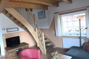 TV connectée, cheminée, lecteur de DVD, chaîne hi-fi