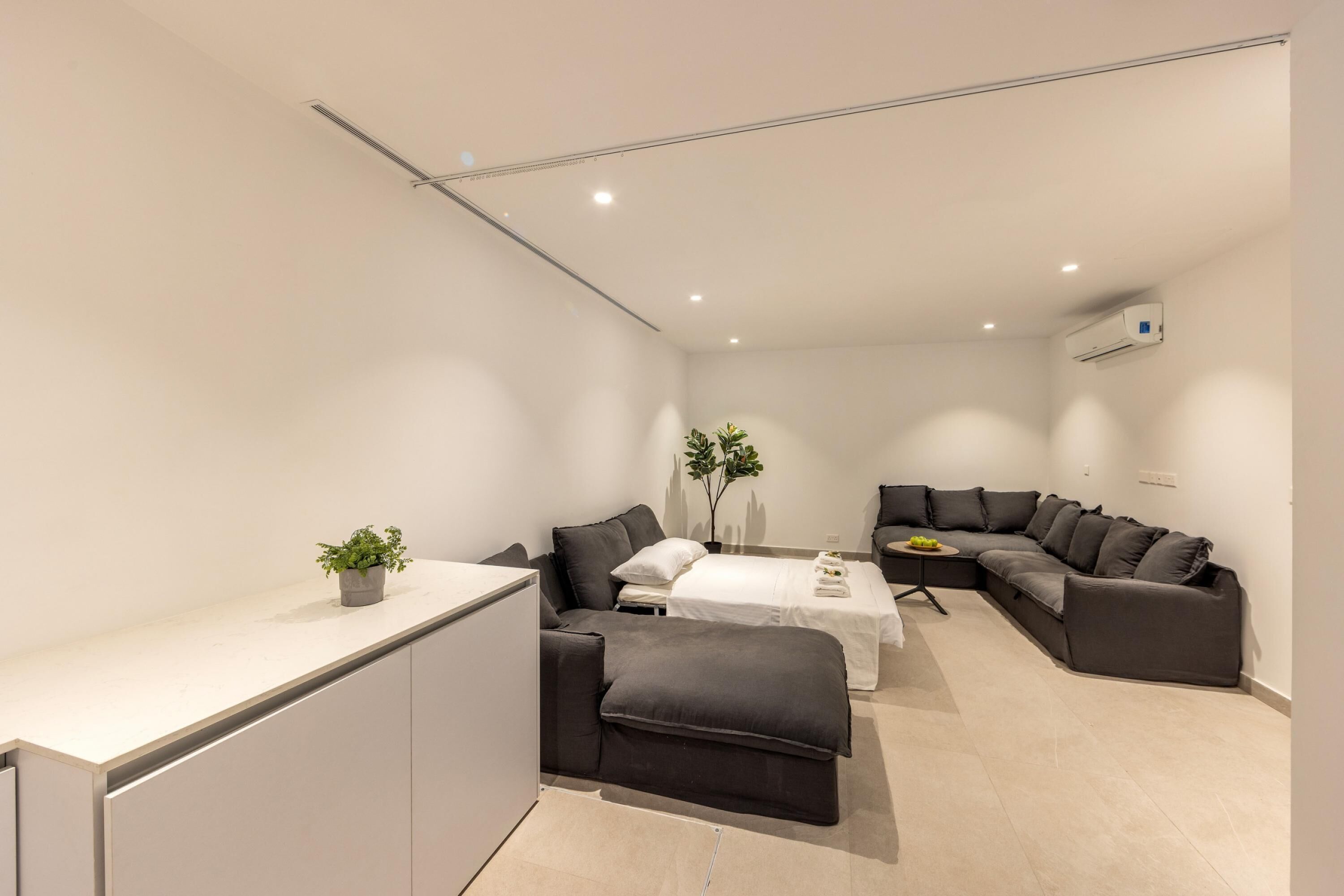 Un salon moderne et minimaliste, comprenant un ensemble de canapés, une table à manger et un petit coin cuisine.