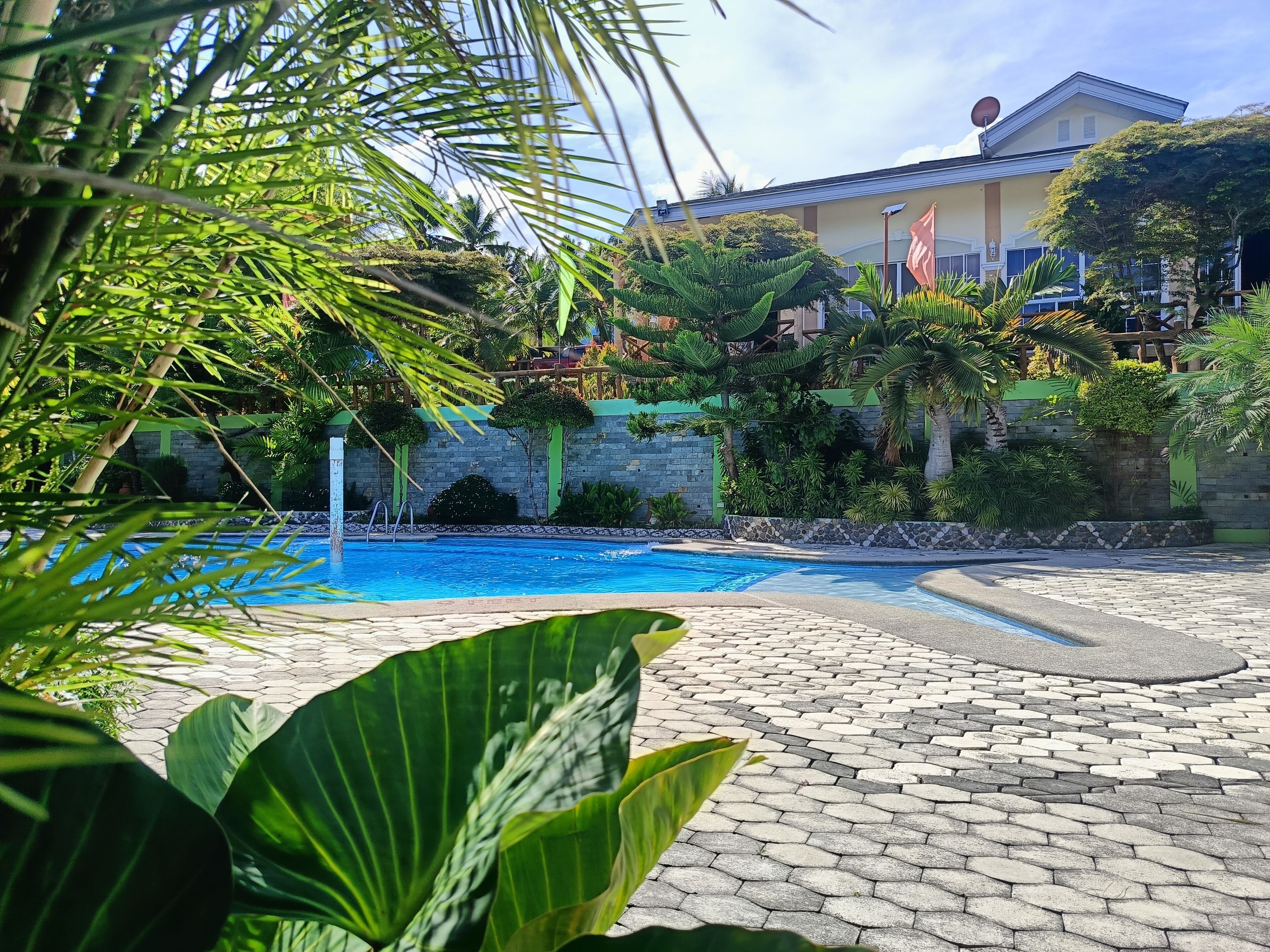 A swimming pool with a stone pathway, surrounded by lush greenery and a stone wall.