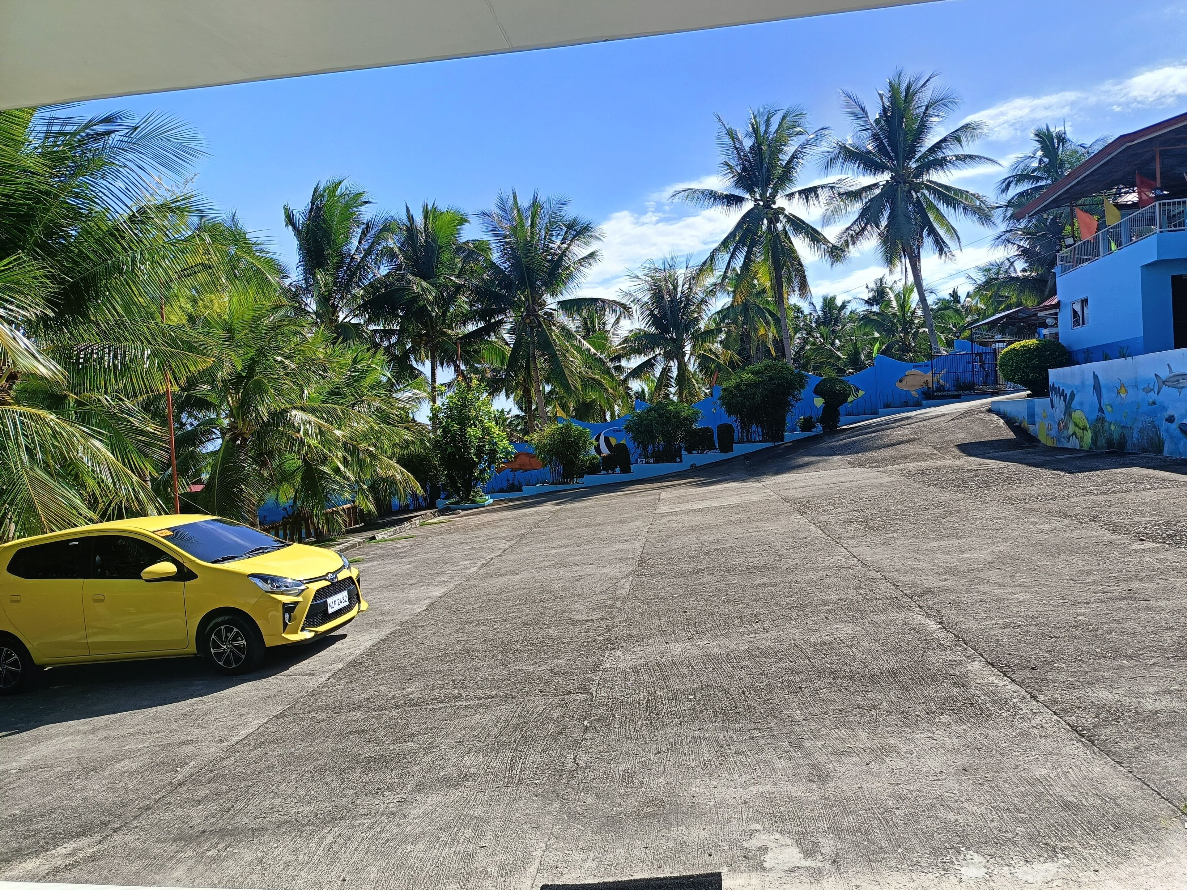 A yellow car parked on a paved road with palm trees and a blue building in the background.