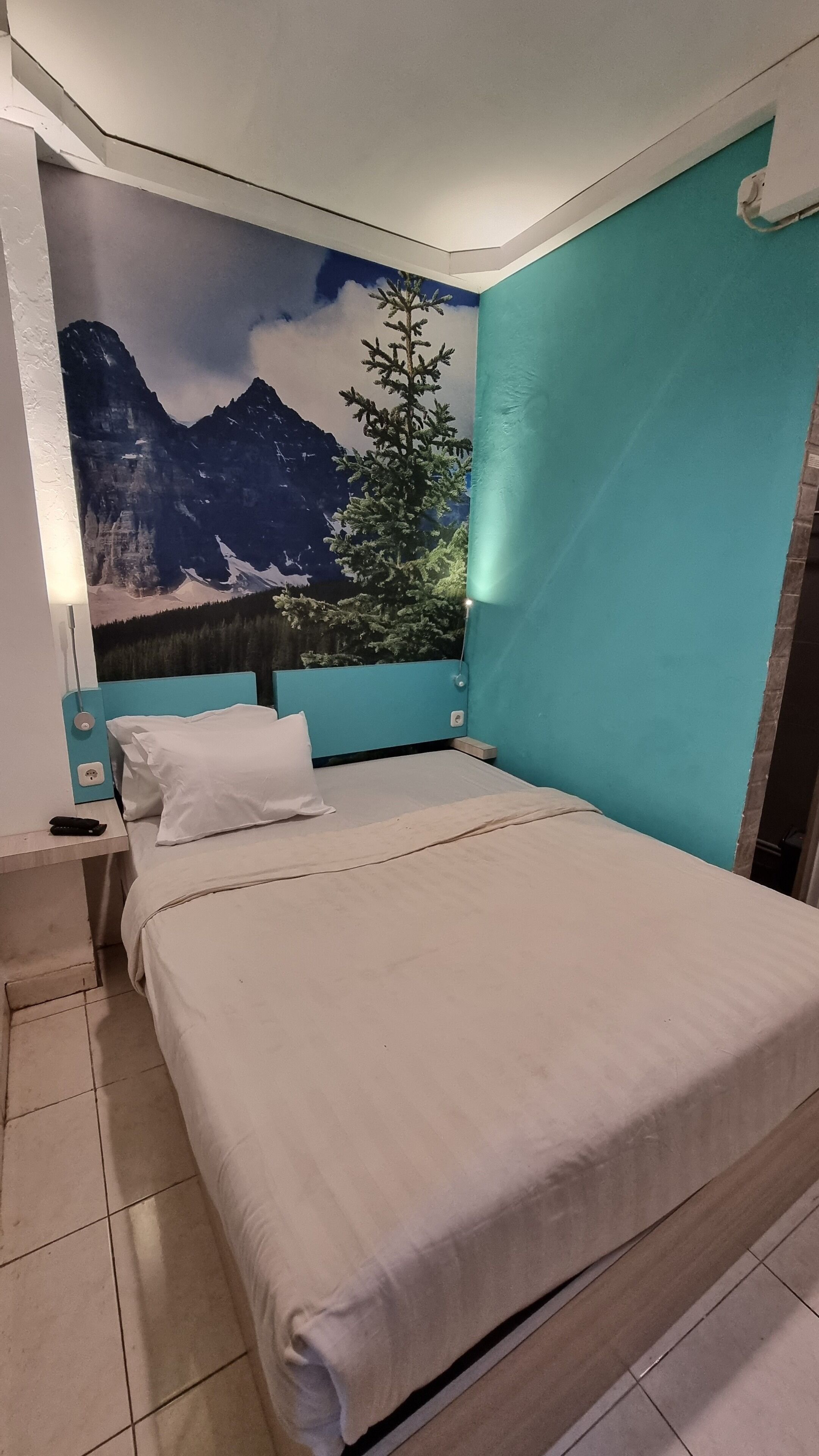 A bedroom with a bed, a nightstand, a wall-mounted lamp, and a mural of mountains.