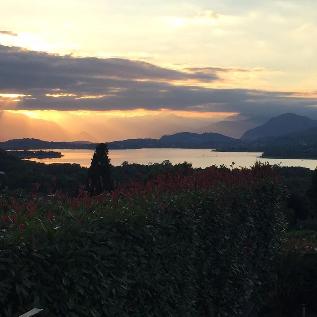 A landscape view with a body of water, mountains, and a tree in the foreground.
