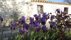 A garden with purple flowers in front of a stone building with a window.