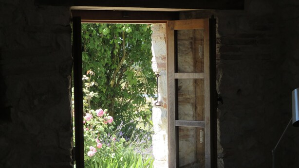 A rustic wooden door with a small window, revealing a lush garden with various plants and flowers.