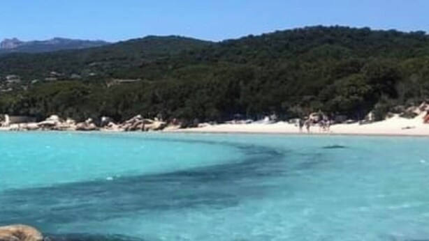 A beach with clear turquoise water, white sand, and a forested hill in the background. - Corse LES Pieds Dans L'eau (Borgo)