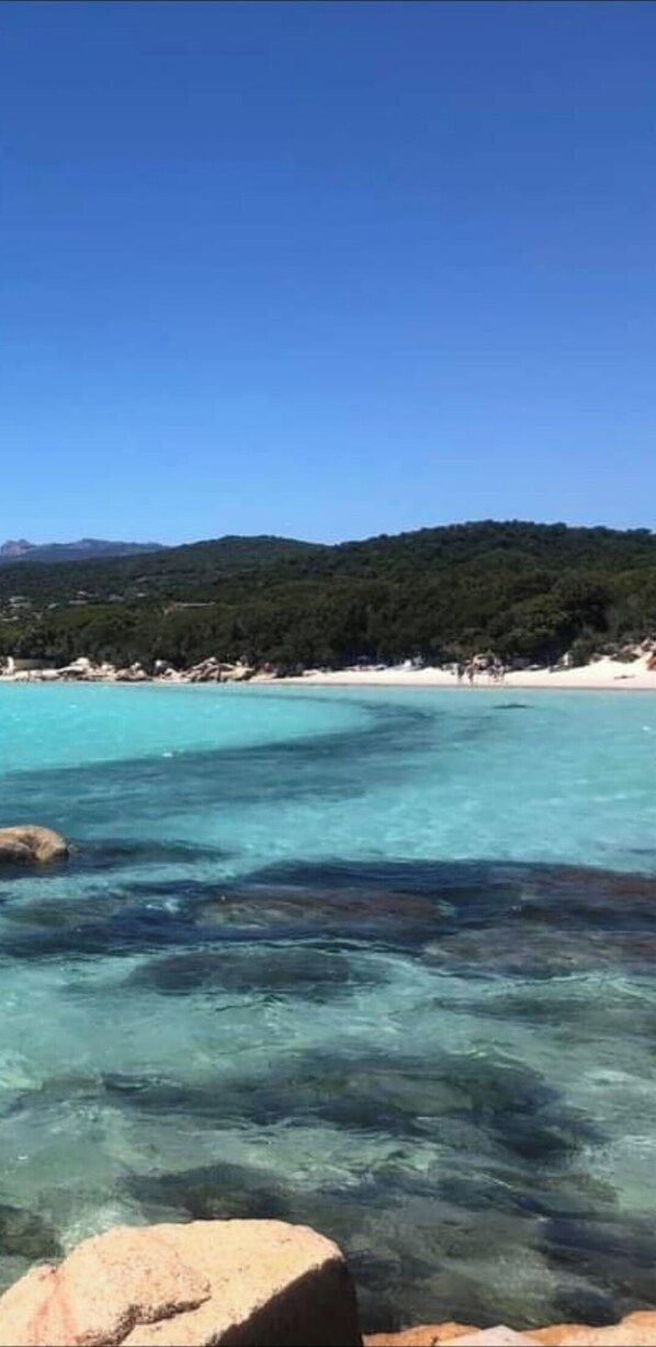 Beach - Corse LES Pieds Dans L'eau (Borgo)