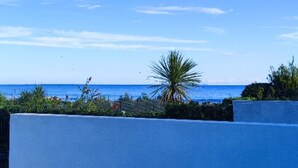 A patio with a table and chairs, a palm tree, and a view of the ocean. - Corse LES Pieds Dans L'eau (Borgo)