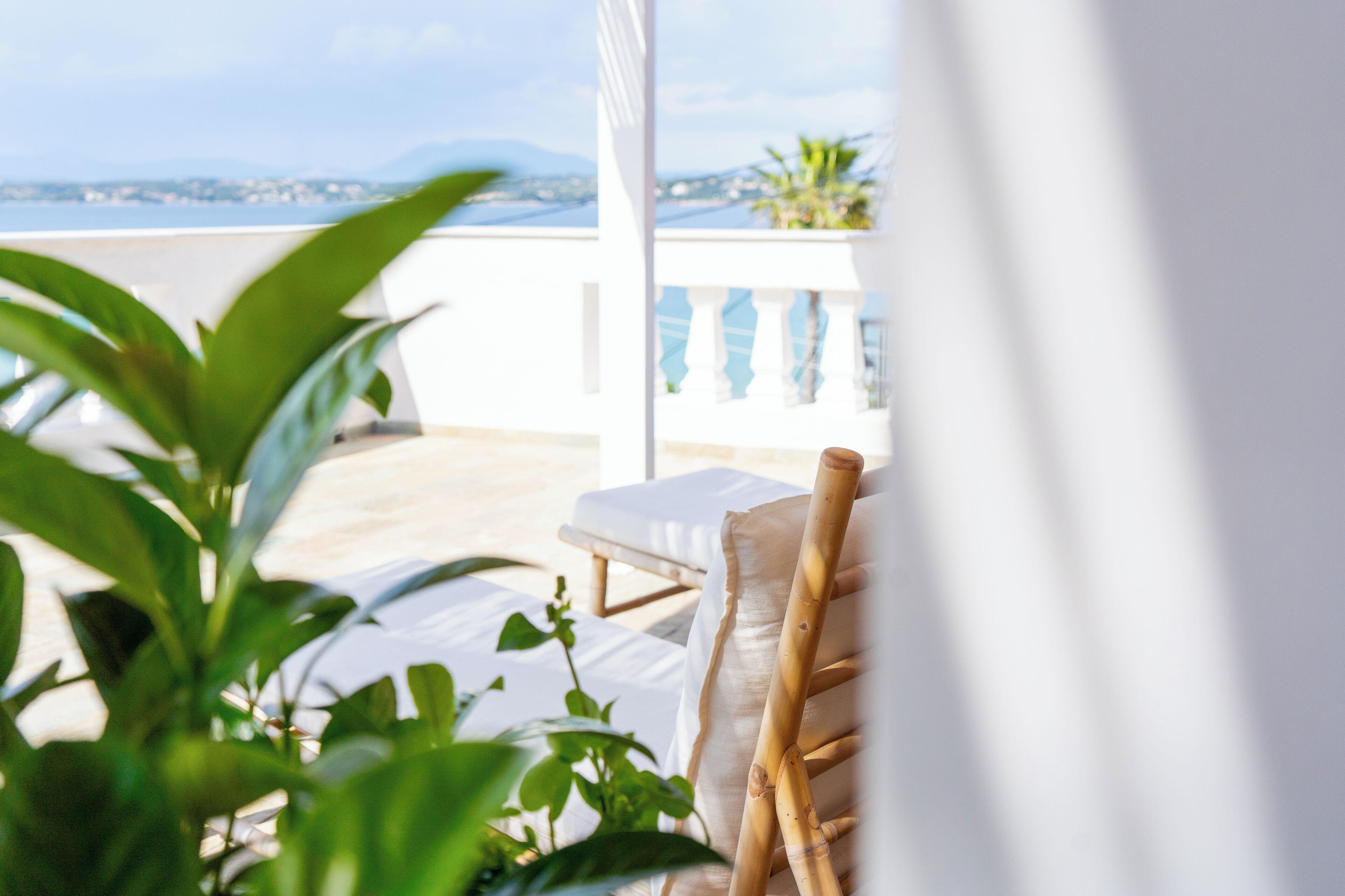 Junior Suite | Terrace/patio