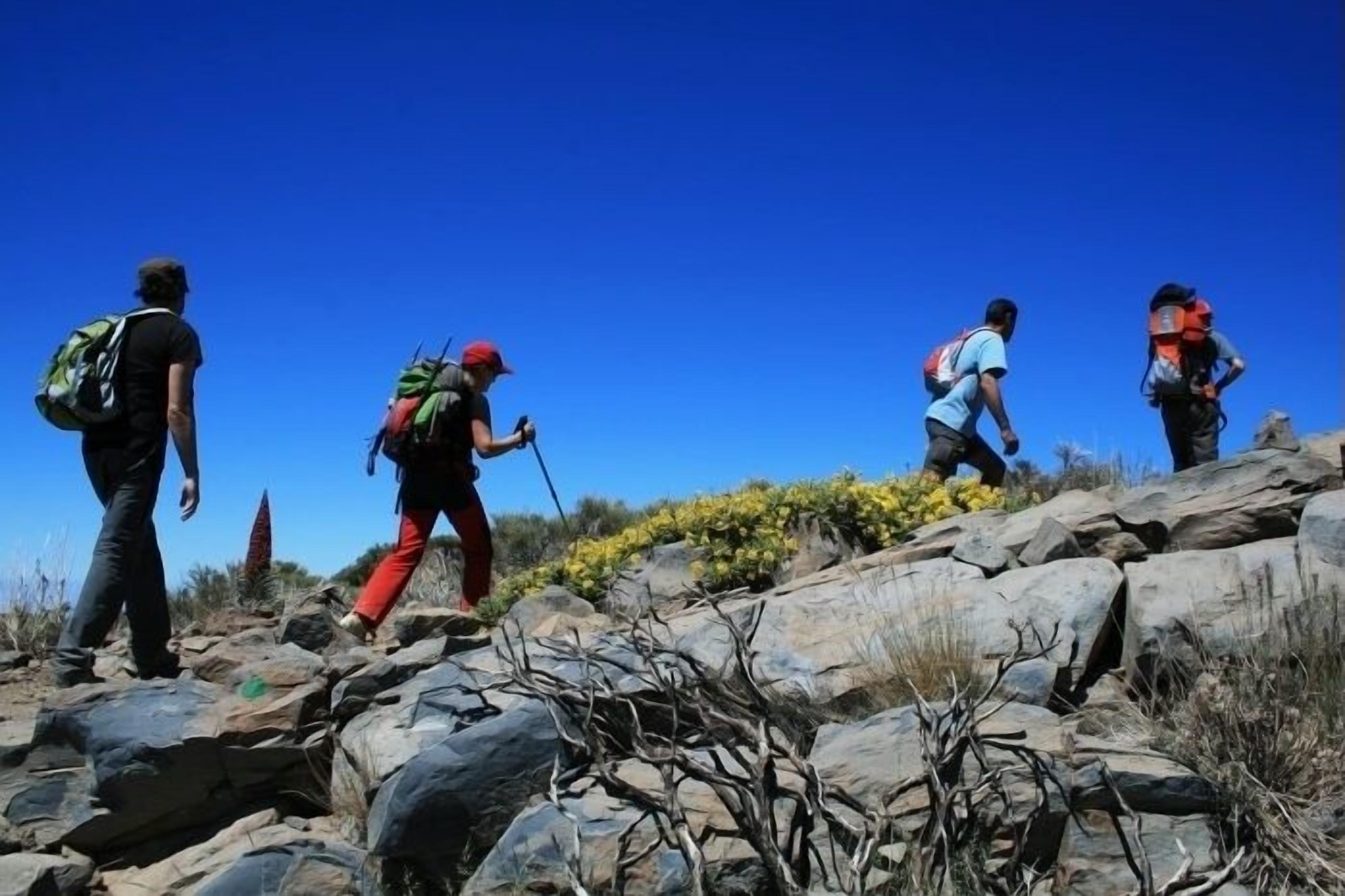 Un grupo de excursionistas en un sendero pedregoso bajo cielos despejados.