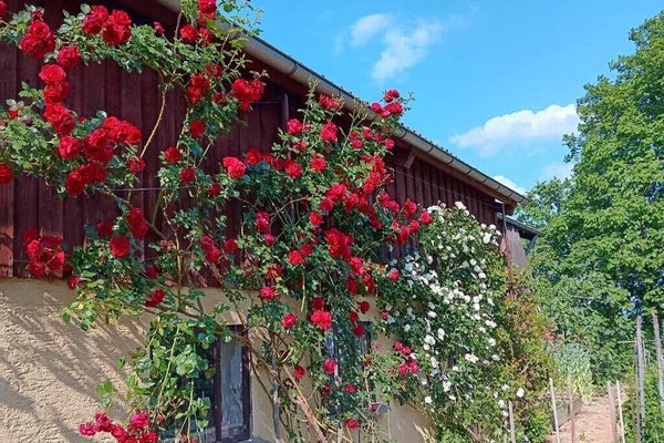 Details aan de buitenkant