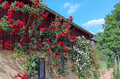 Ferien auf dem Winzerhof