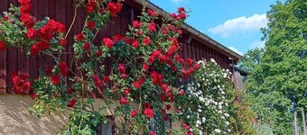 Ferien auf dem Winzerhof