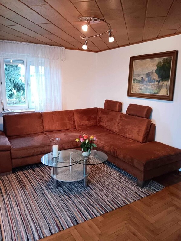 TV, DVD player, ping pong, books