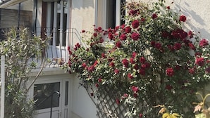 Een tweekapper met een balkon, een witte gevel en een tuin vol rode rozen.