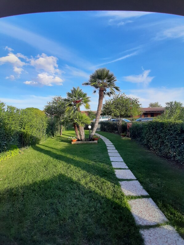 Een pad dat door een verzorgde tuin met palmbomen slingert, onder een helderblauwe lucht.