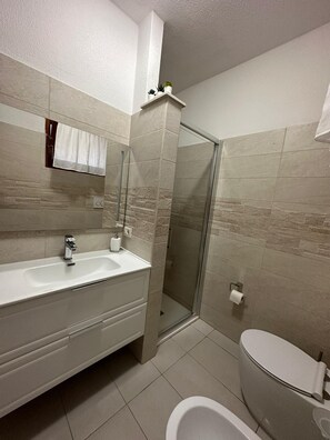 Shower, hair dryer, bidet, towels