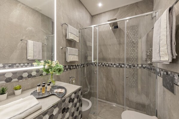 Shower, hair dryer, bidet, towels