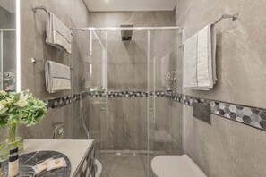 Shower, hair dryer, bidet, towels