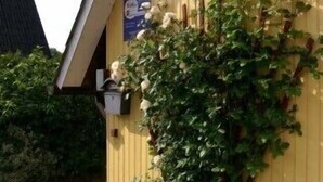 Un edificio amarillo con techo inclinado, una planta trepadora con flores blancas y un pequeño jardín con rocas y un objeto esférico.