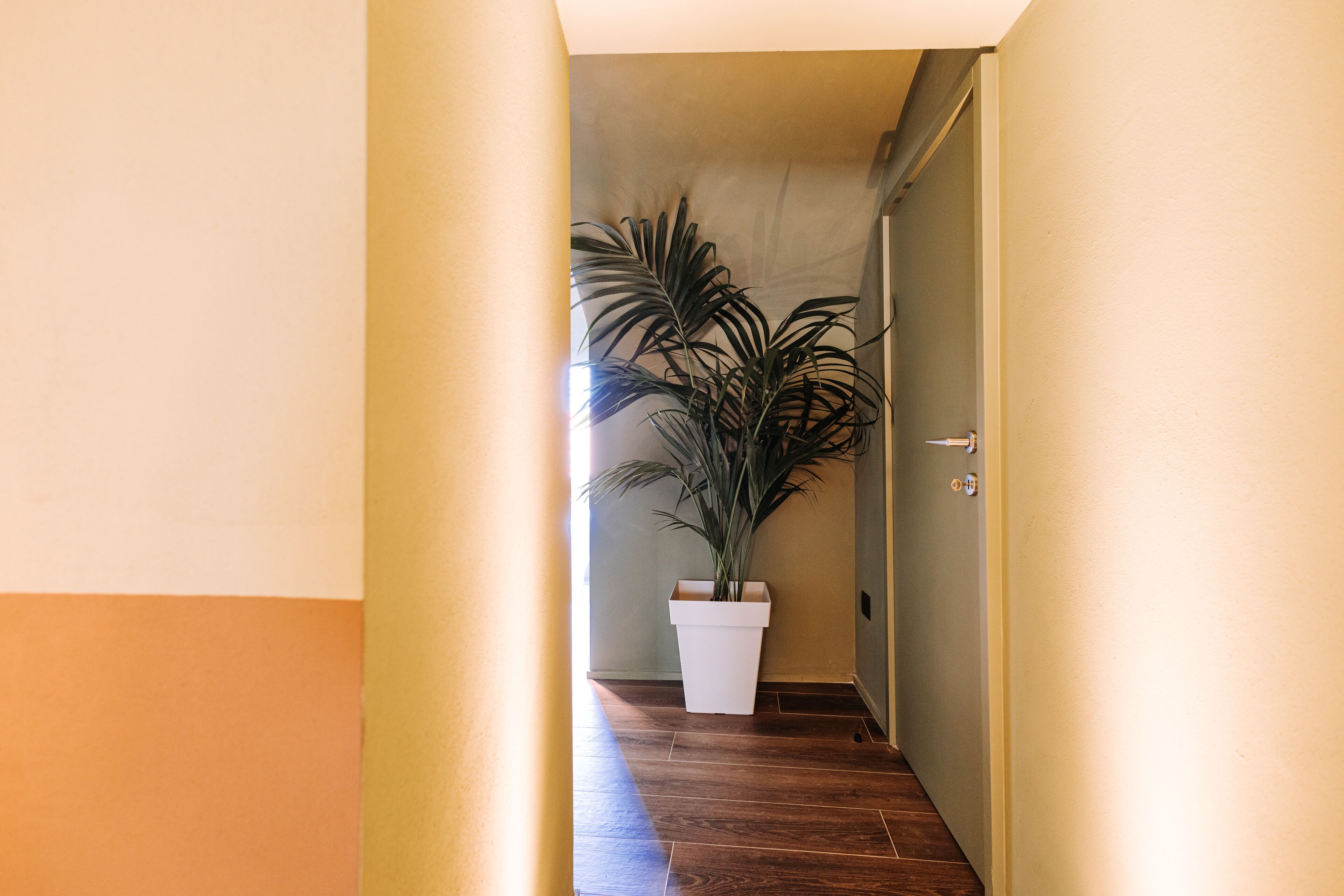 Ein Flur mit einem Blumentopf, Holzboden und einer Tür auf der rechten Seite.