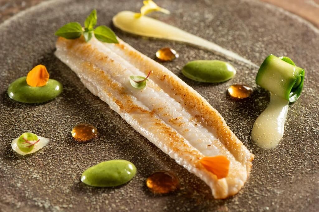 A dish with a piece of white fish, green vegetables, and a sauce on a textured surface.