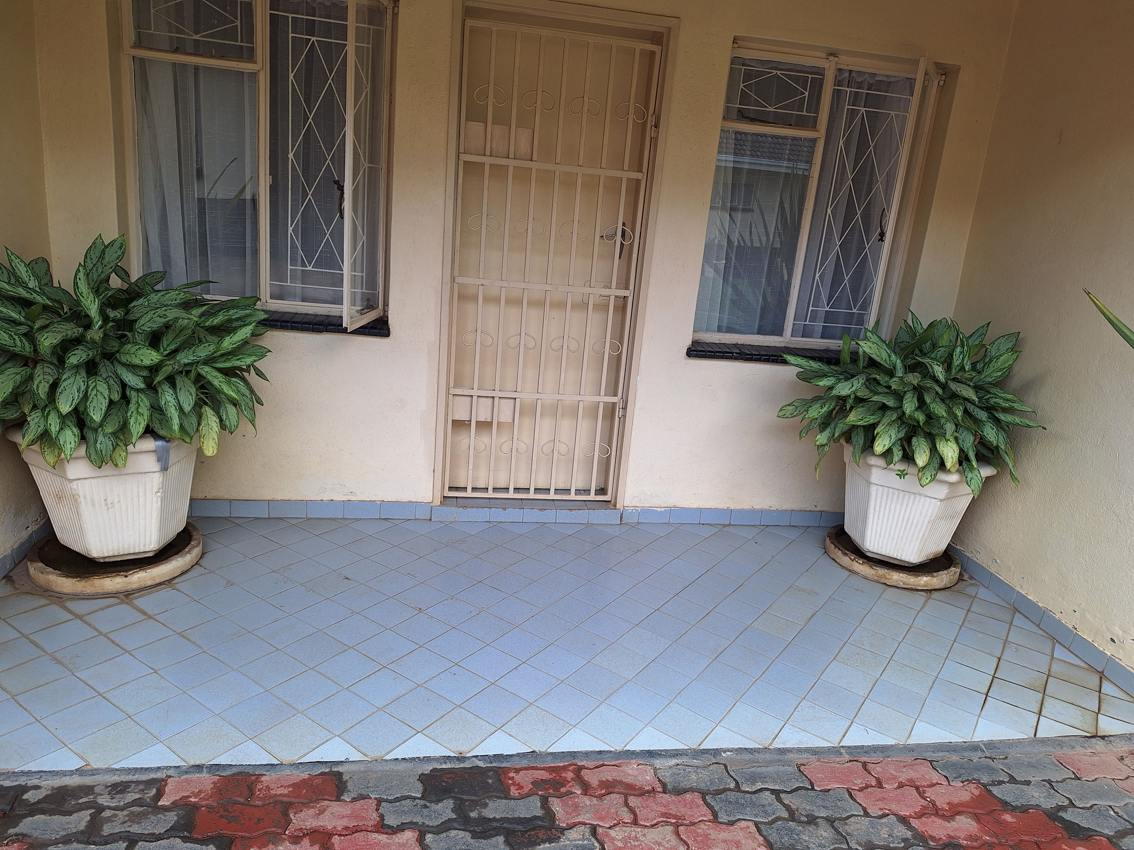 A building entrance with a tiled floor, a barred door, and two potted plants.