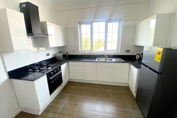Luxury Apartment | Private kitchen | Full-size fridge, microwave, oven, stovetop