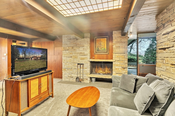 TV connectée, cheminée, livres, médiathÚque