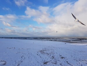 Beach - Fewo 2 Strandstr. 29 (Loddin)