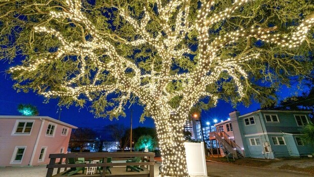 Ein mit Lichtern geschmückter Baum, eine Bank und ein Gebäude im Hintergrund.