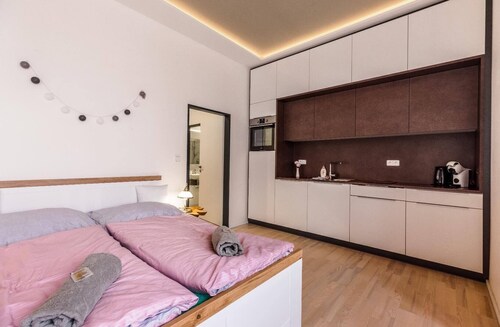 Apartment FLOWER Brno center 203
