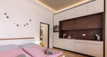 Apartment FLOWER Brno center 203