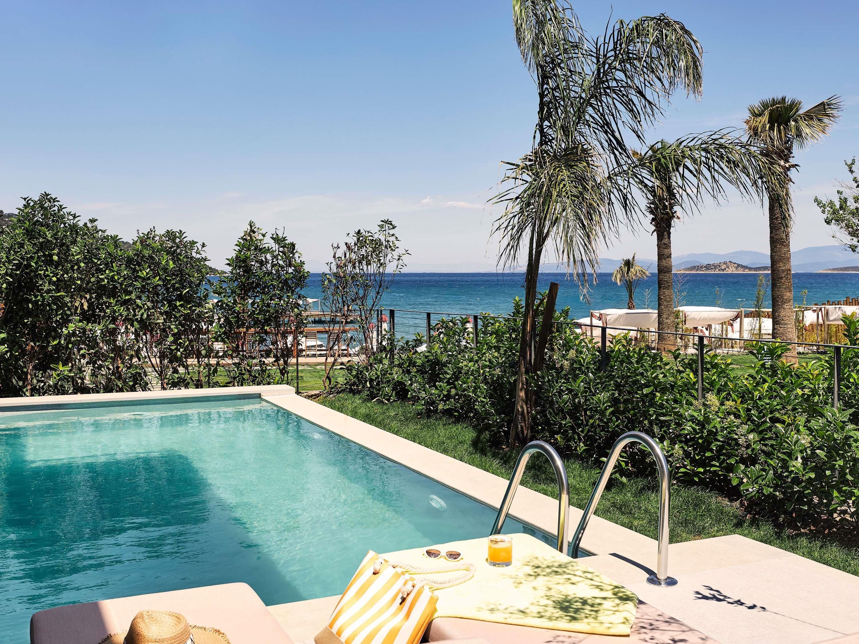 A pool with a view of the sea, surrounded by greenery and palm trees.