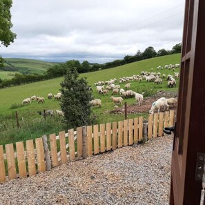 Vue depuis l’hébergement