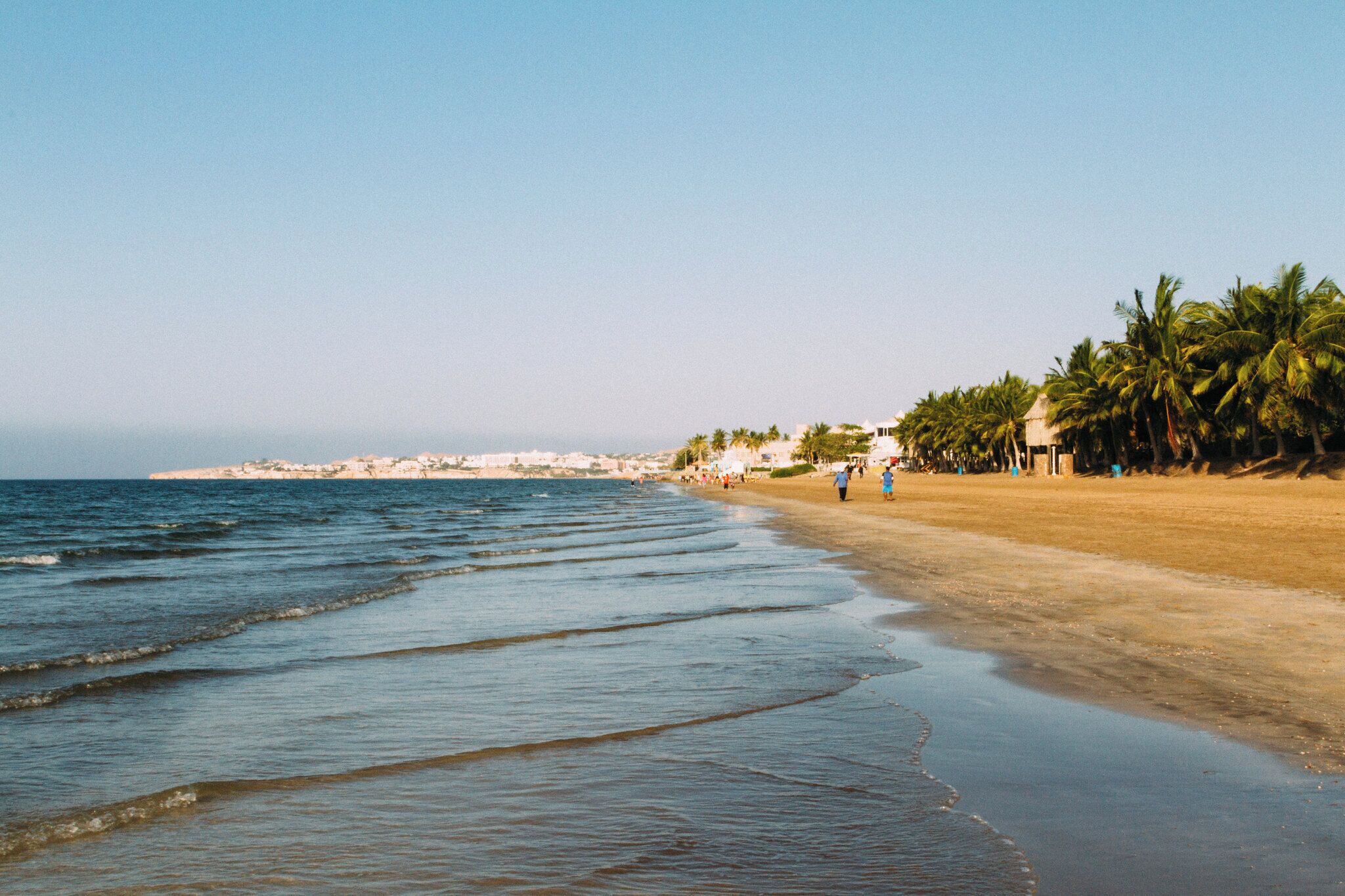 Une plage bordée de palmiers, une étendue de sable et une ville qui se devine au loin.