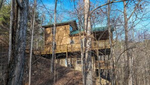 Un chalet rustique doté d’une terrasse en bois et d’un toit végétalisé, entouré d’arbres.