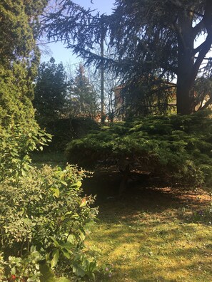 Jardines del alojamiento