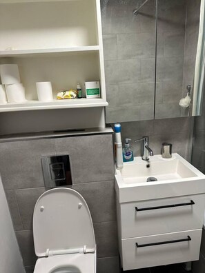 A modern bathroom with a toilet, a sink with a mirror, and a shelf with toiletries.