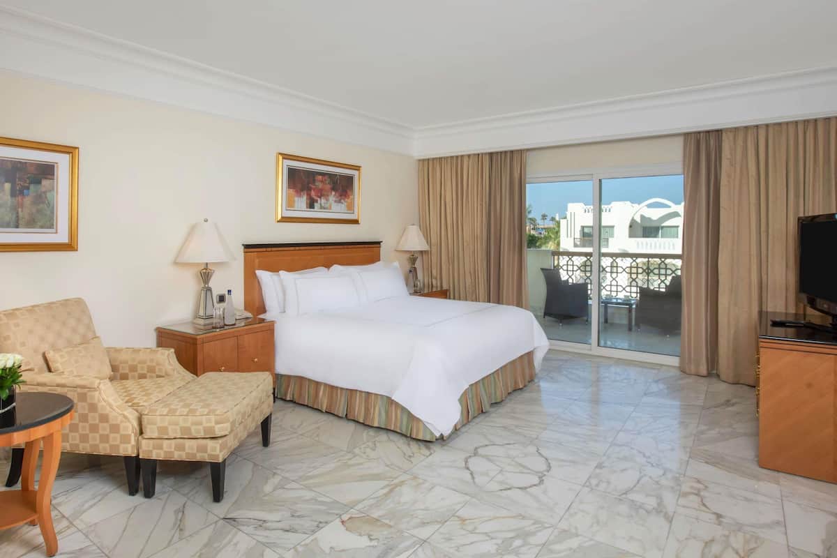 Suite (Adult)