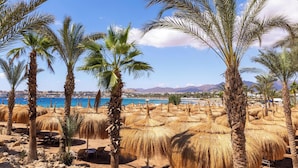 Une plage bordée de palmiers et ombragée par des parasols en chaume, un ciel bleu azur et une vue lointaine sur une ville côtière.