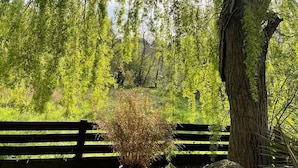 Un espace extérieur paisible, agrémenté d’un saule pleureur, d’un banc en bois et d’une plante en pot.